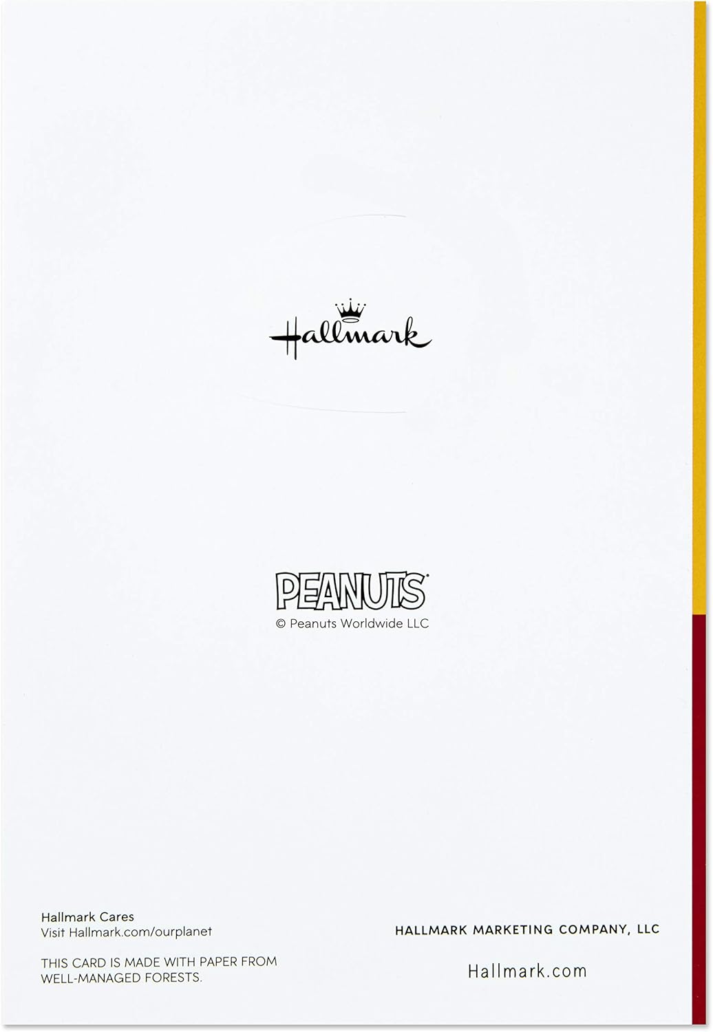 Hallmark Pack of Peanuts Thanksgiving Cards, Snoopy and Woodstock (10 Cards with Envelopes) : Office Products
