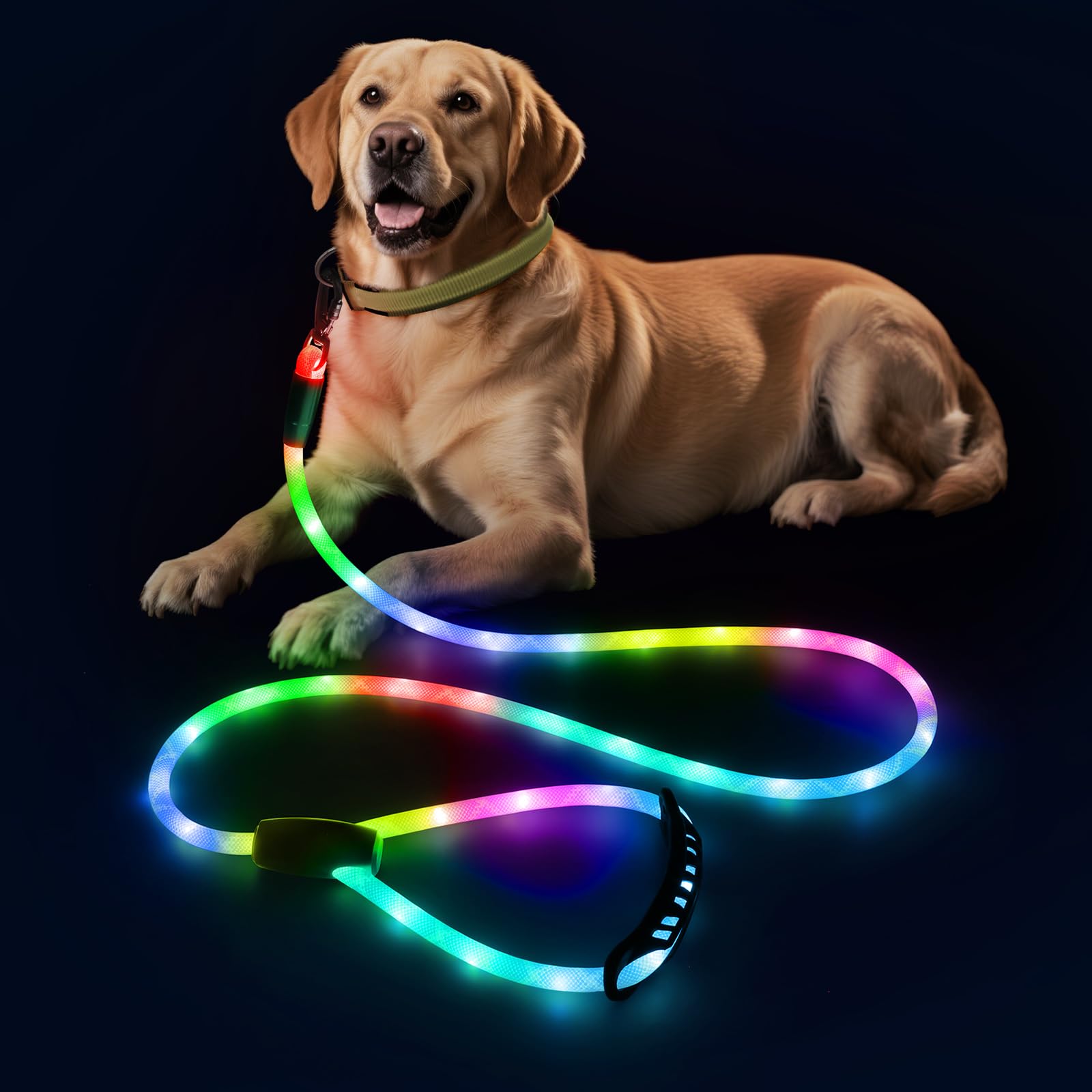Photo 1 of Colaseeme Light Up Dog Leash, 5FT LED Pet Leashes Micro USB Rechargeable, Nylon Glow Safety Dogs Lights at Night (Multi-Color)
