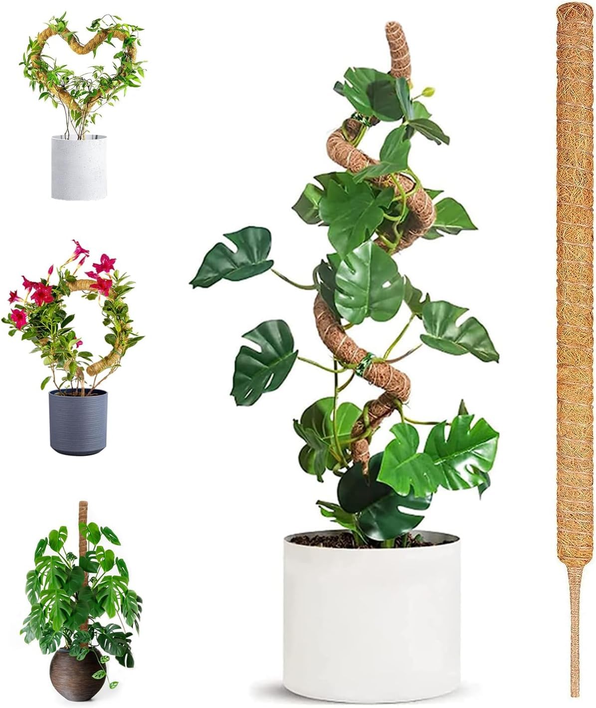 70cm Plant Supports for Indoor Plants, Moss Pole for Monstera Support Sphagnum Moss Sticks for Cheese Plant Bendable Growth