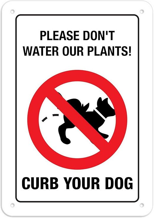 tiendas de amazon cerca de mi