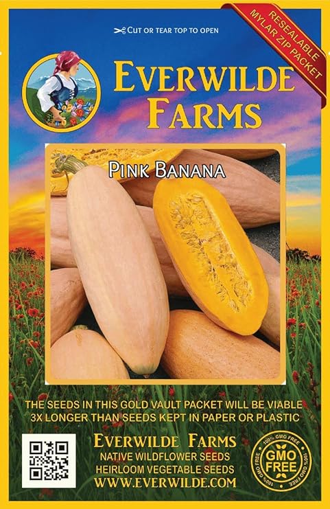 Cavom Net Herbs Seeds Bulbs Squash Pink Banana Jumbo Garden Heirloom Vegetable 100 Seeds