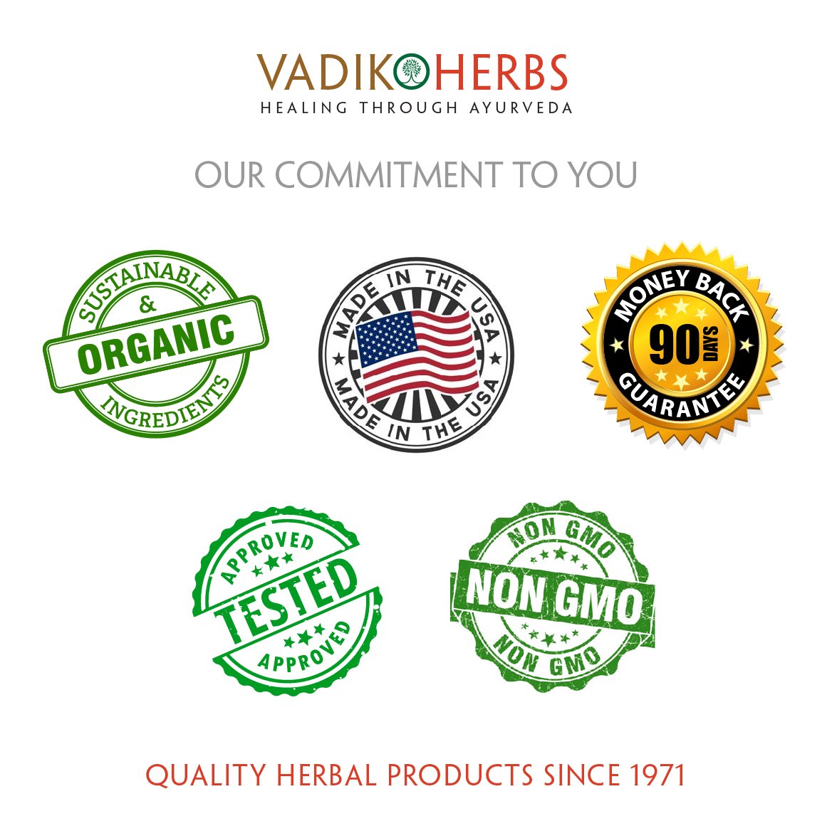 Brahmi Hair Oil (8 oz) by Vadik Herbs | All natural herbal hair oil for hair growth, hair conditioning, dandruff and dry scalp | Herbal scalp treatment: Beauty
