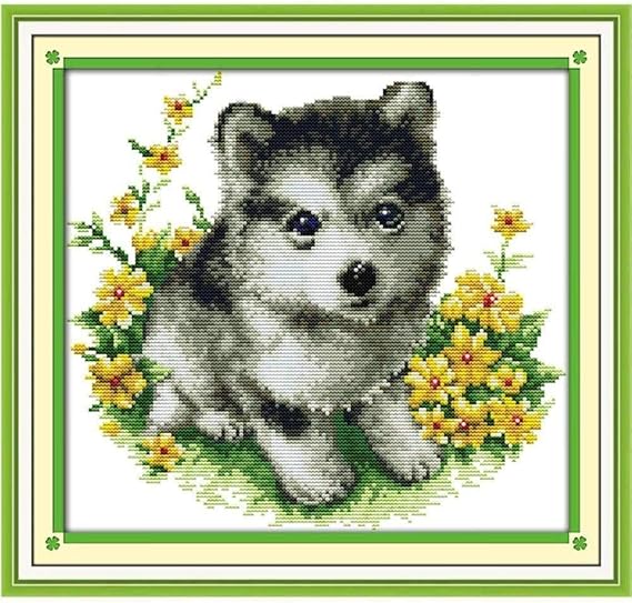 Amazon.com: Stamped Cross Stitch Kits Beginners Embroiderykitten-11CT