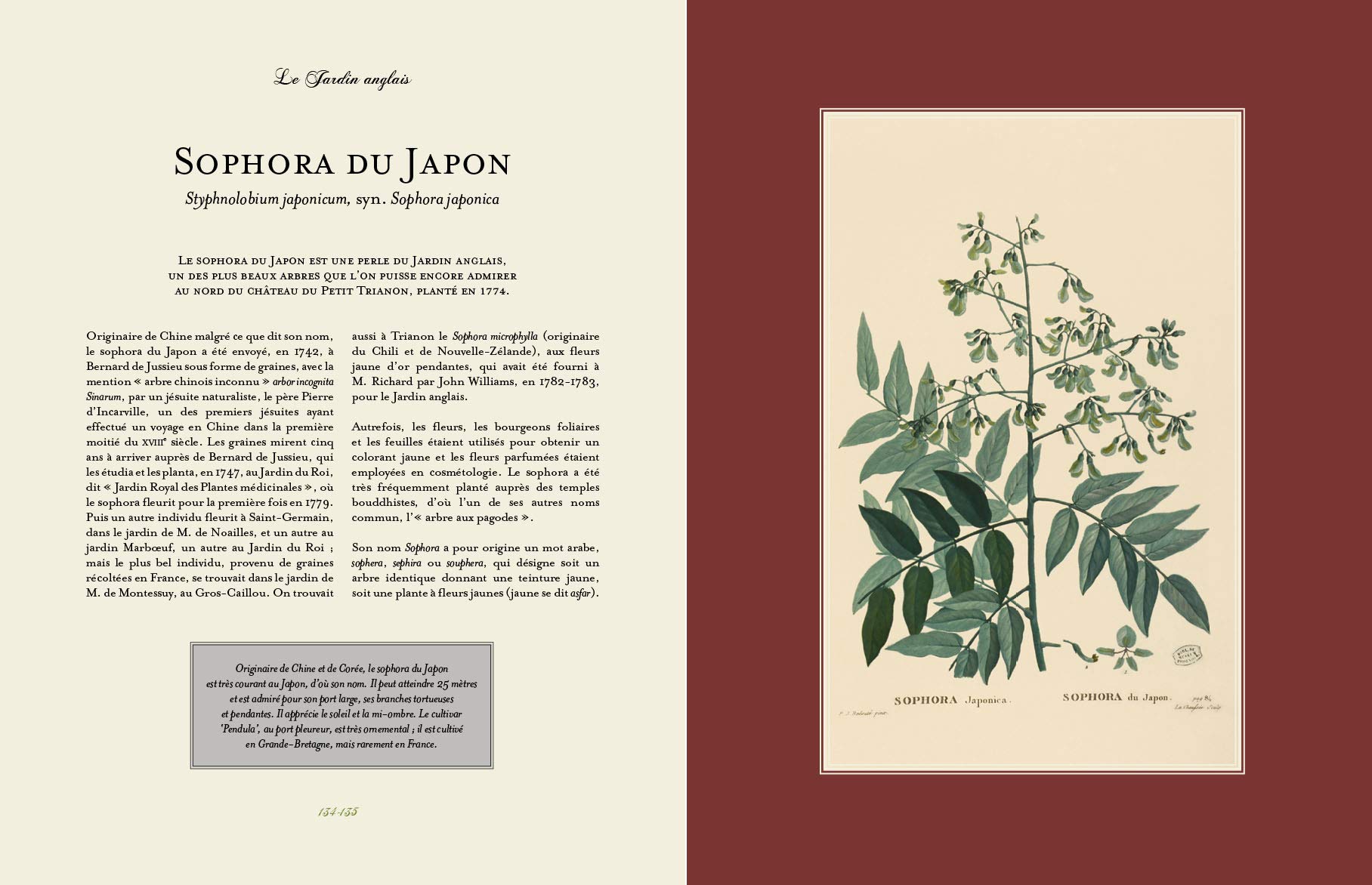 Lherbier De Marie Antoinette Alain Baraton 9782081447103