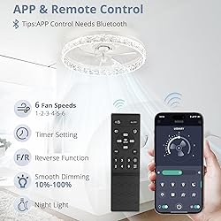 LEDIARY 20" Modern Ceiling Fans with Lights and