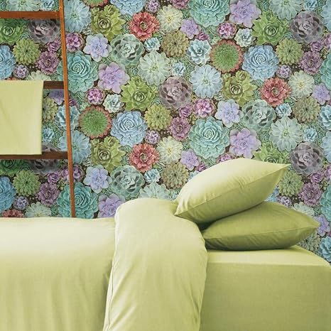 RoomMates RMK11249RL Succulents Peel and Stick Wallpaper Green