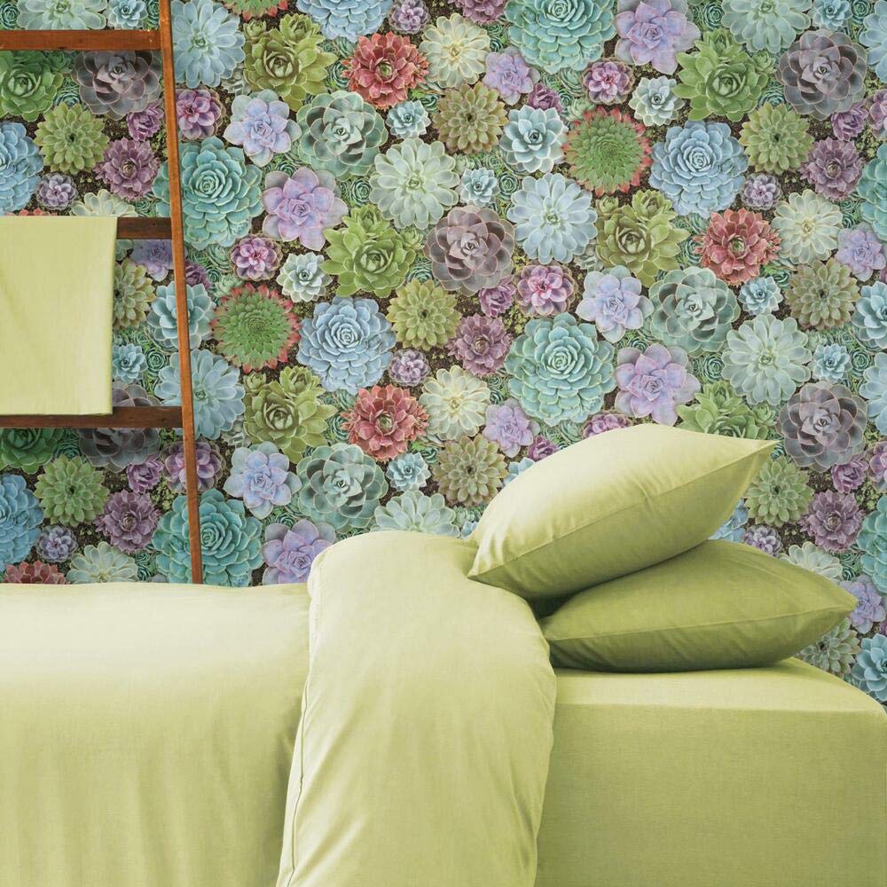 RoomMates RMK11249RL Colorful Succulents Peel and Stick Wallpaper, Green