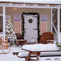 Leisure world 160 LED Solar American Flag Lights