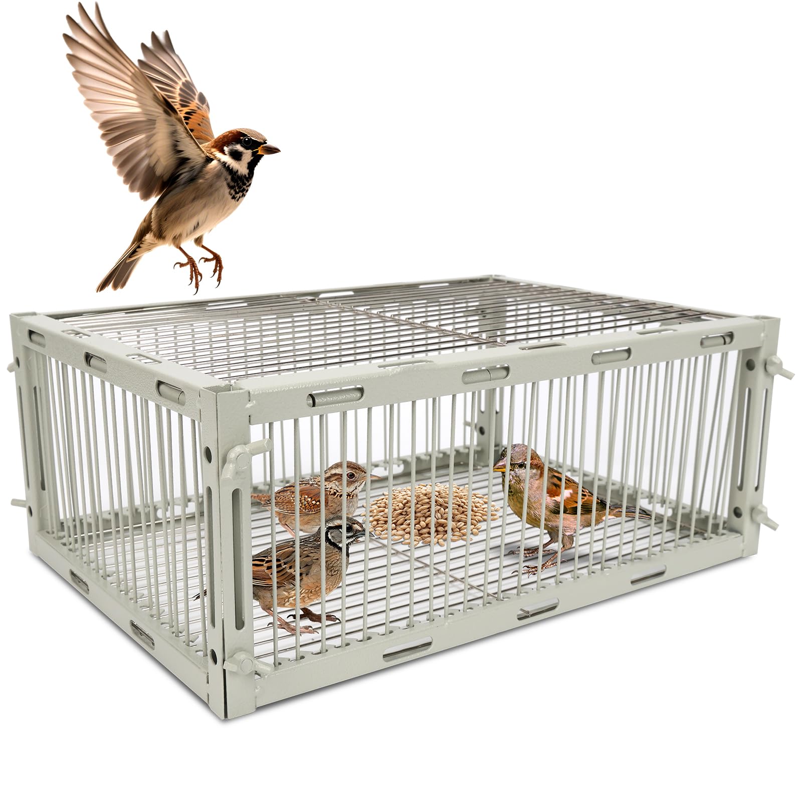 Photo 1 of Sparrow Trap Cage – Bird Traps for Small Birds Wild, House Sparrow Bird Traps, One Way Birds Cage Trap, Bird Catcher Trap for Cardinals, Quail, Starlings with S Size