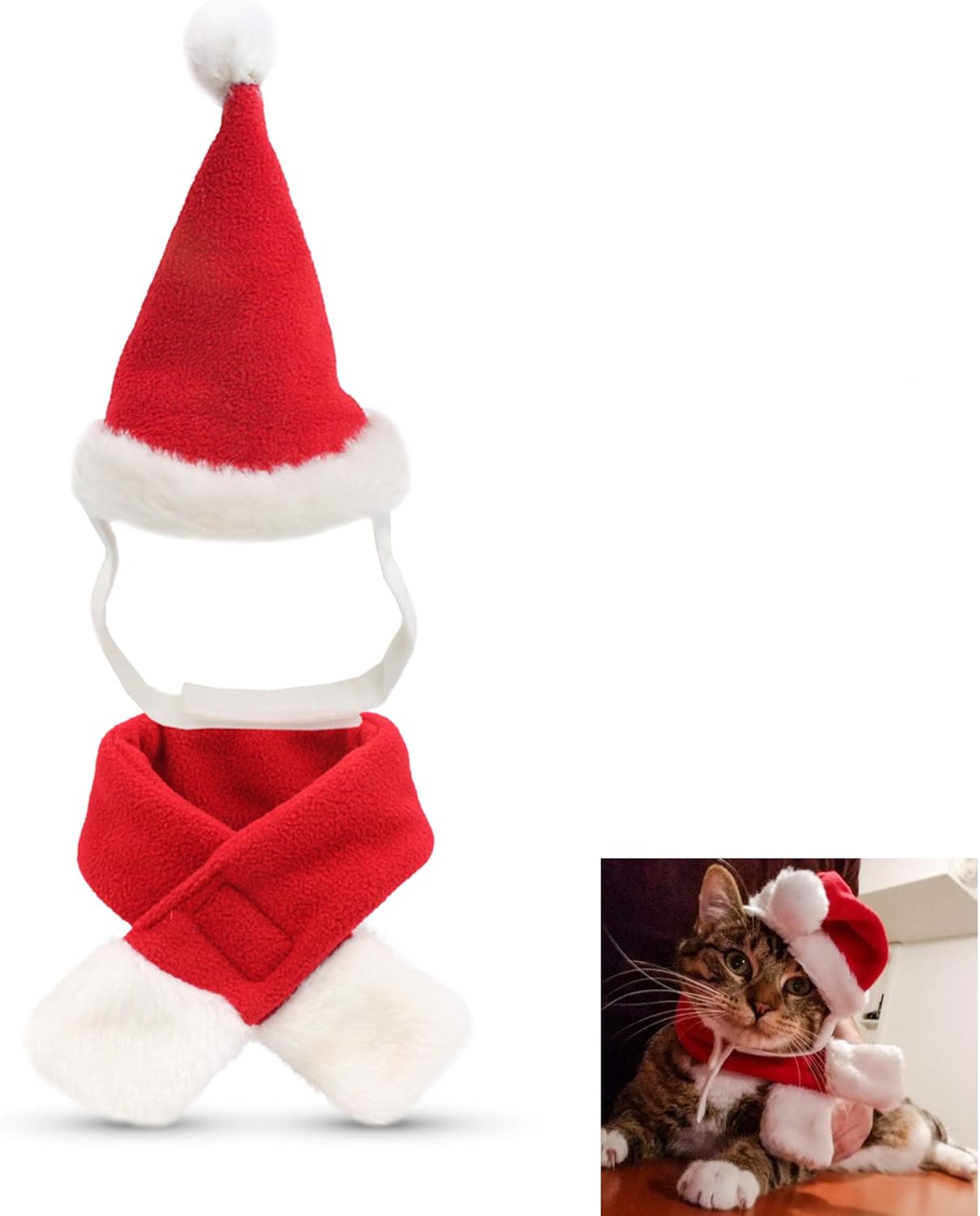 rabbit christmas outfits