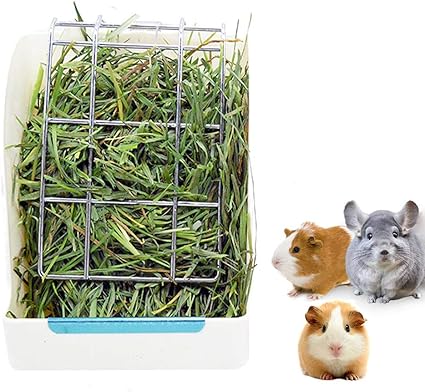 Amazon Com Stkygood Rabbit Feeder Bunny Guinea Pig Hay Feeder