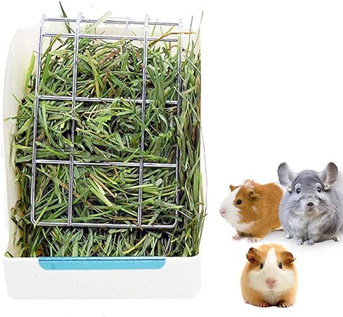 amazon guinea pig hay