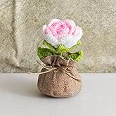 Andvon Crochet Flowers Cute Potted Flower, Handmade Knitting Pink Rose Flores Gift for Birthday, Teacher’s Day, Anniversary, Christmas, Valentines, Crocheted Flowers for Women Office Desk Decoration