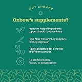 Oxbow Natural Science Vitamin C Support for Small Animals Guinea Pig view 6