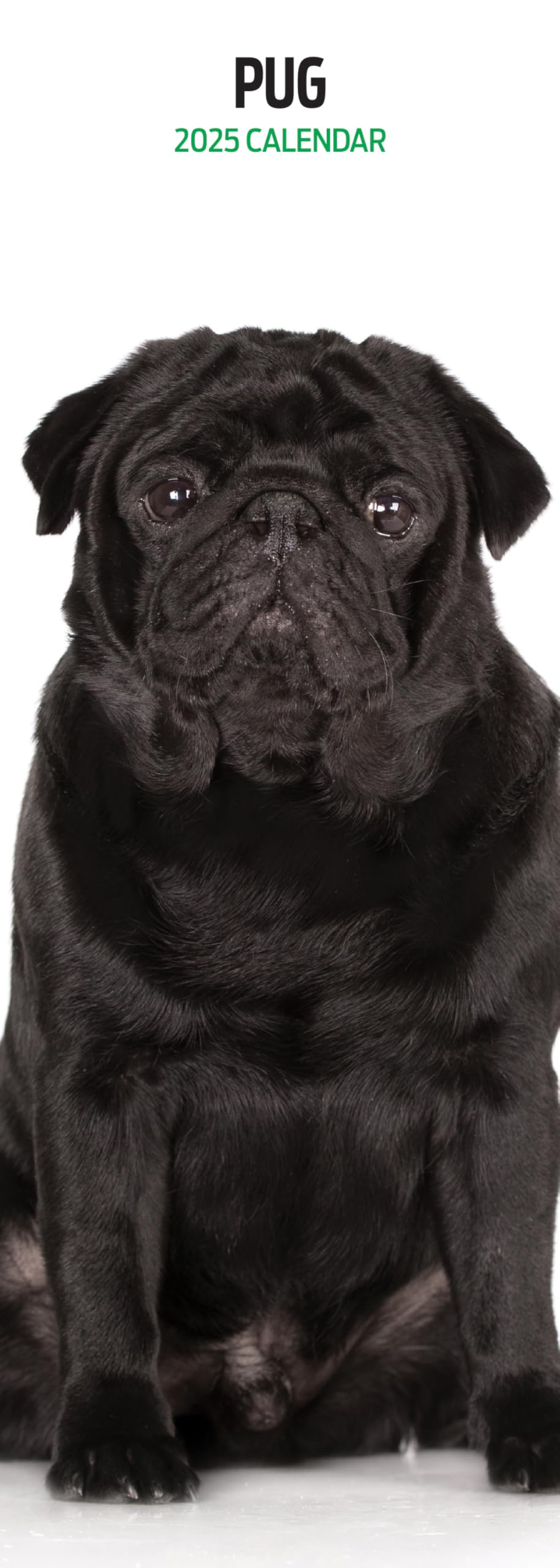 Pug 2025 Slim Calendar