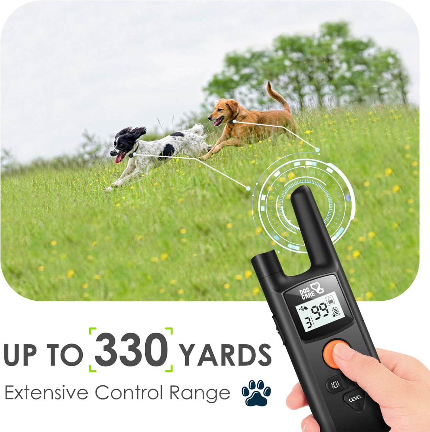 Dog Training Collar - Rechargeable Dog Shock Collar w/3 Training Modes, Beep, Vibration and Shock, Rainproof Training Collar, Up to 1000Ft Remote Range, 0~99 Shock Levels Dog Training Set : DOG CARE : Pet Supplies