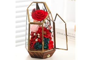 AGRUL Flowers Roses Gifts for Her,Forever Real Preserved Roses in Glass Dome,Valentines Day Roses Gifts for Her Wife Mom Women Best Friend/Red.