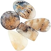 CRYSTALINES 5pcs, Natural Golden Dendrite Agate Gemstone, Bulk Flatback Cabochon Stone, Wholesale Polished Supplies, DIY Jewelry Making, Healing Crystal Lot, Wire Wrapping, Gem Collection