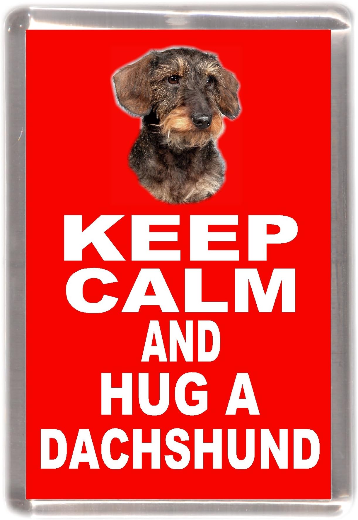 Dachshund Wire-Haired Dog Fridge Magnet "Keep Calm and Hug A ..."