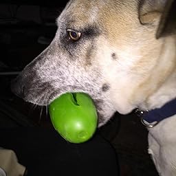 pickle pocket for dogs