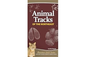 Animal Tracks of the Northeast: Your Way to Easily Identify Animal Tracks (Adventure Quick Guides)