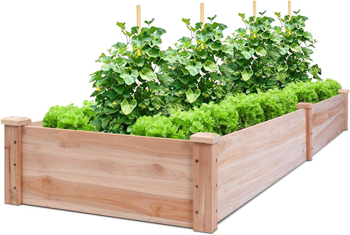 Best Garden Bed Kit 3X6