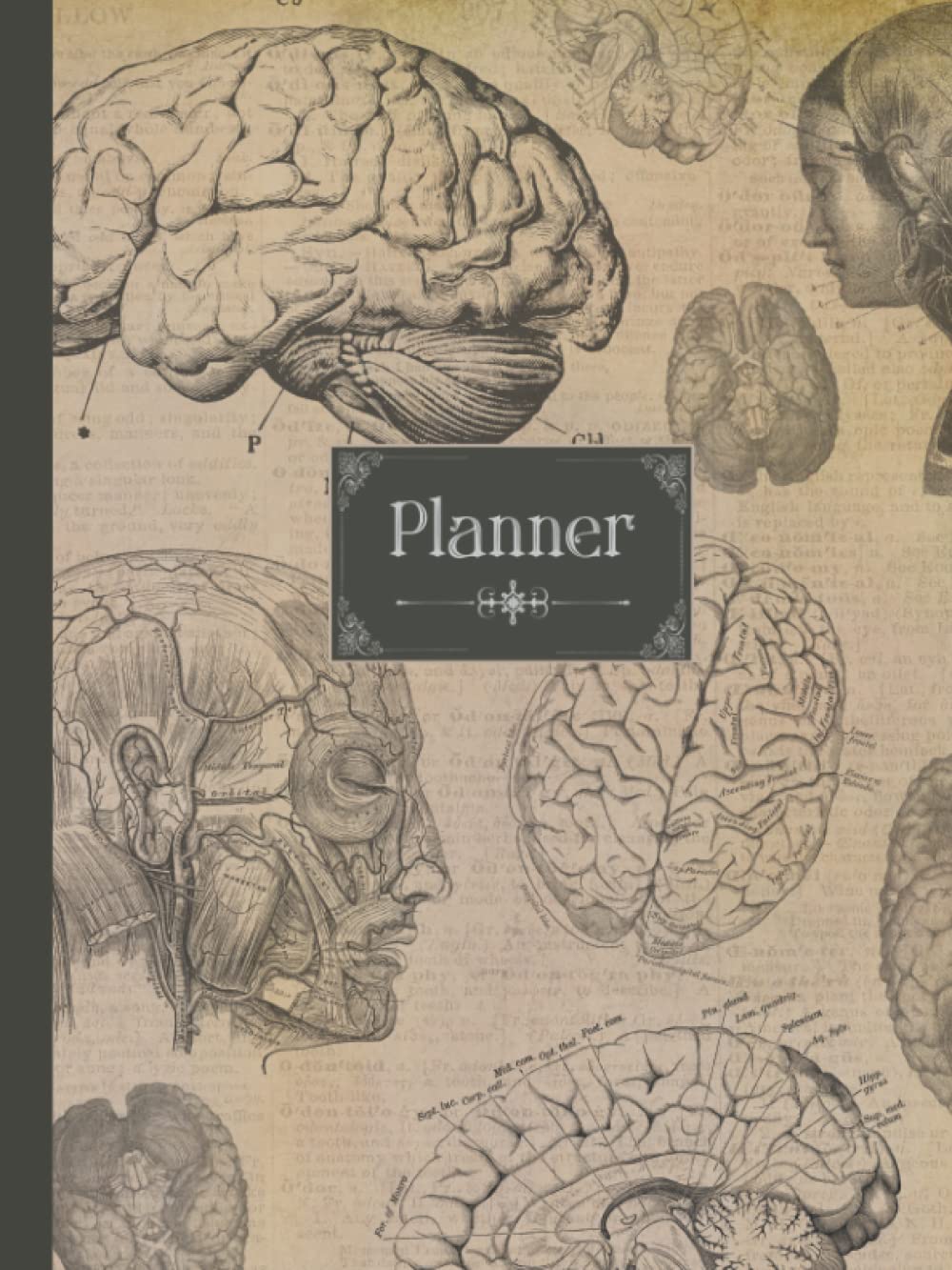 Planner: Anatomy planner. Giant undated weekly planner. 8.5×11 weekly and month-to-month spreads. Classic mind anatomy medical illustration theme. Every day planner with no dates that includes birthday planner.