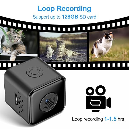 Telecamera Per Collare Gatti Yolansin 4K: Scopri Le Avventure Del Tuo Animale Domestico!