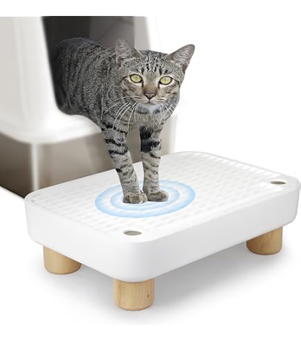 BALAPET Double Layered Self-Cleaning Cat Box Ramp With Filter Functi