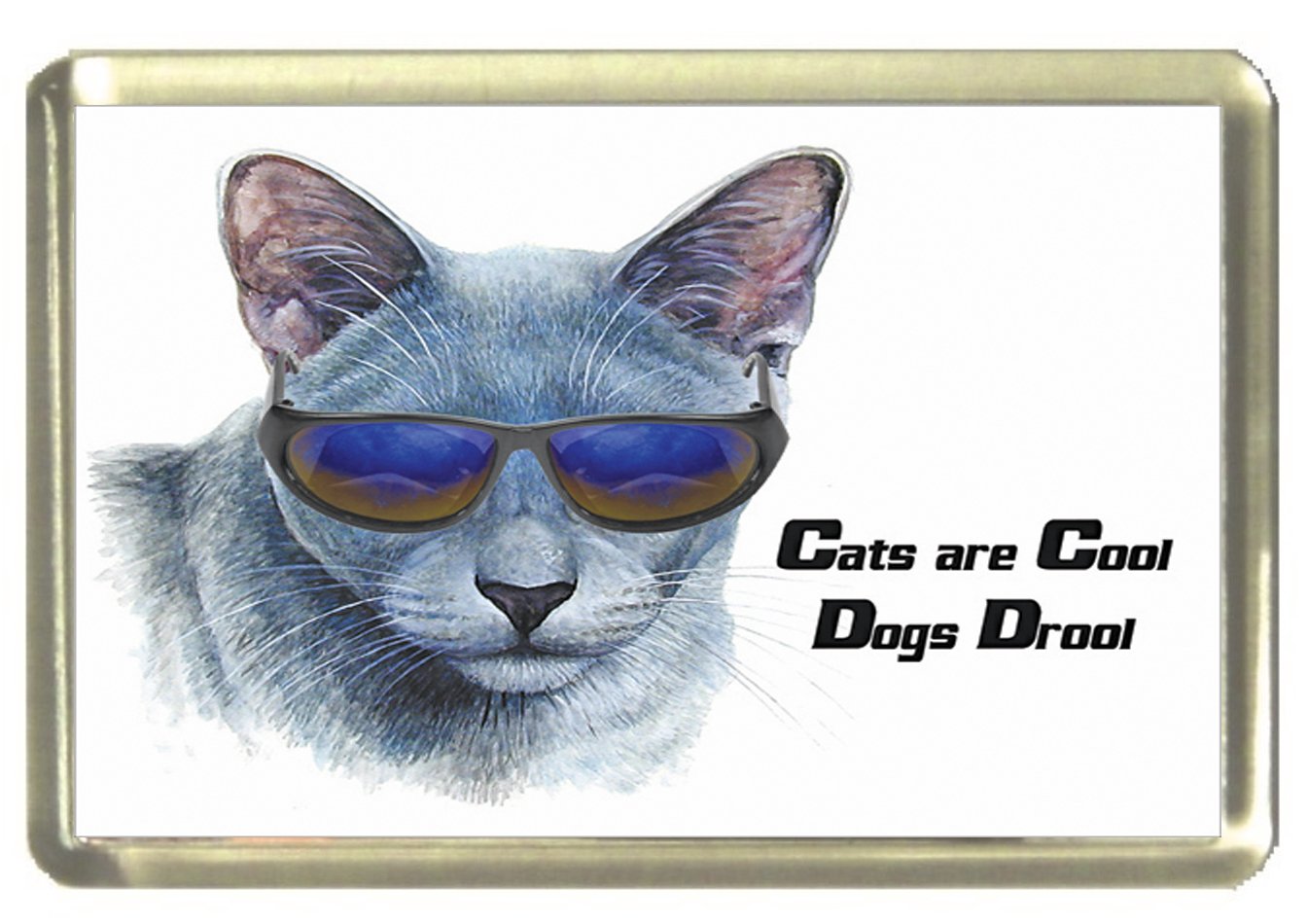 Amazonde Katze Russisch Blau Kühlschrank Magnet Katzen