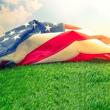 american flag turf shoes