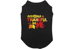 HAASE UNLIMITED Everyone is Thankful for Me - Dog Shirt (Black, Medium)
