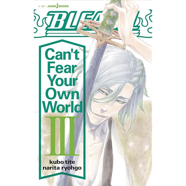 Amazon.com: BLEACH Can't Fear Your Own World 1 (JUMP j BOOKS