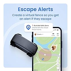 Tractive Smart Dog GPS Tracker | Live Pet Tracker