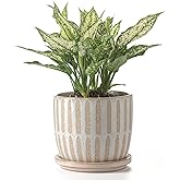 POITONRU Ceramic Flower Pots Indoor-Outdoor: 7.75 Inch Large Planters with Drainage Holes & Saucer - Modern Decorative Plant Pots Ceramic for Home Gardeners (Striped)