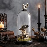 Halloween Decorations Raven On Skull in Dome, Tabletop Centerpiece Decor | Spooky LED Raven & Skull in Dome, Gothic Halloween Centerpiece Decor for Mantel, Shelf, Coffee Table, Entryway & Office Desk