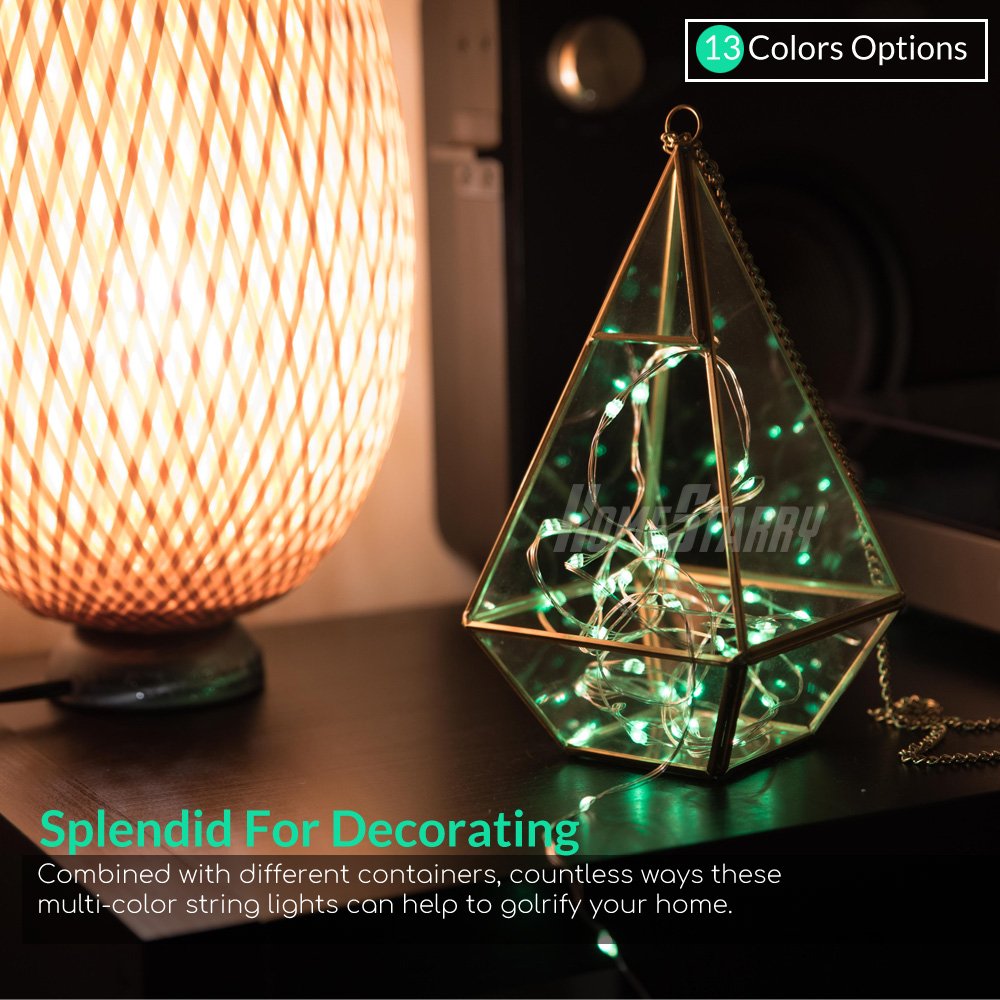 Hometarry LED String Lights,2 Pack Battery Operated Lights Multi Color