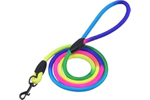 Zealoire Rainbow Rope Dog Leash – 6 FT Heavy Duty Nylon Leash with Strong Metal Clip, Colorful Gradient Design, Durable & Sty
