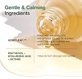 ANUA Heartleaf 80% Moisture Soothing Ampoule 30ml Hydrating Sensitive Skin view 5