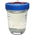 Zombie Mushrooms | Mushroom Liquid Culture Jar | With Injection Port | With Filter Port | Add Your Own Culture (1, 300ML)