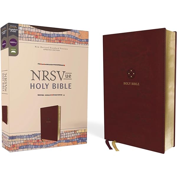 Holy Bible: New Revised Standard Version: Zondervan: 9780310902355