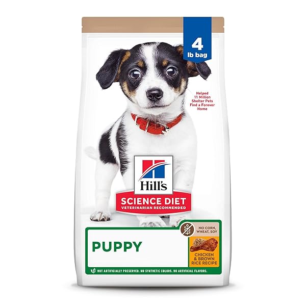 HILL’S SCIENCE DIET PUPPY, PUPPY PREMIUM NUTRITION, DRY DOG FOOD, NO CORN, WHEAT, SOY CHICKEN & BROWN RICE, 4 LB BAG