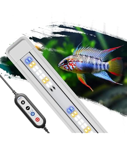 ピ*ト様 AROWANA TANNING LIGHT テンニング Amazon.com : Mayin Arowana Tanning Light Aquarium Special Color