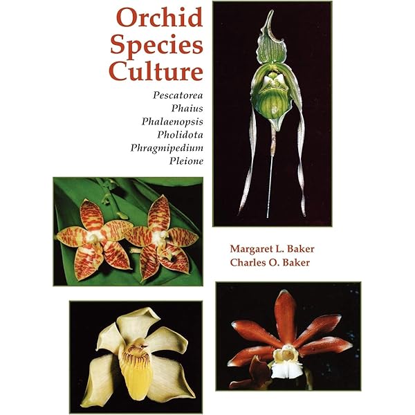 Orchid Species Culture Pescatorea To Pleione Baker Margaret L Baker Charles O Amazon Com Books