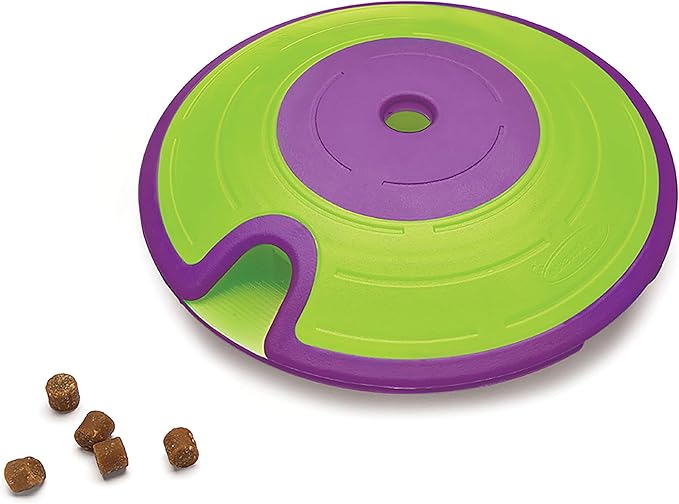 dog maze toys