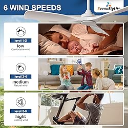 BvenuBigLite Ceiling Fan Without Light: 52 Inch