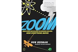 Zoom: From Atoms and Galaxies to Blizzards and Bees: How Everything Moves