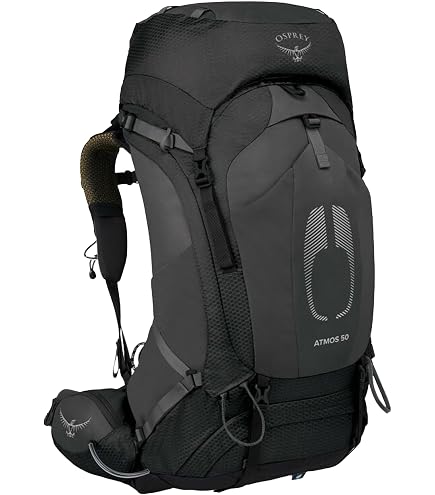 Osprey Aura AG 50 Women's Backpacking Backpack , Challenger Blue, Medium : Clothing, Shoes & Jewelry
