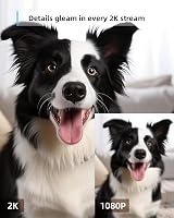 blurams Pet Camera 2K Indoor 360° Night Vision Motion Tracking 2 Pack view 3