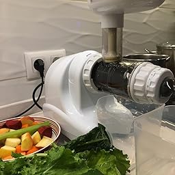 Extractor de zumos Oscar Neo DA 1000 – Tecnología Cold Press Slow ...
